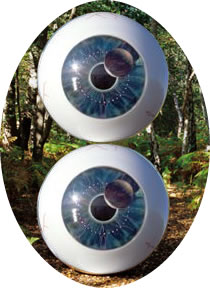Pulse DVD Cover
